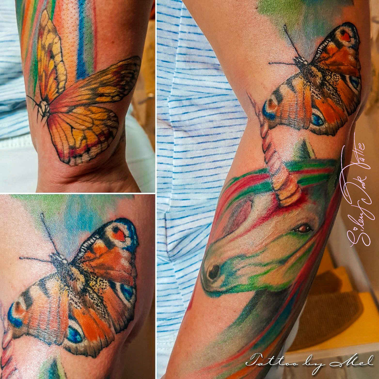 Silent Ink Tattoo - Animals
