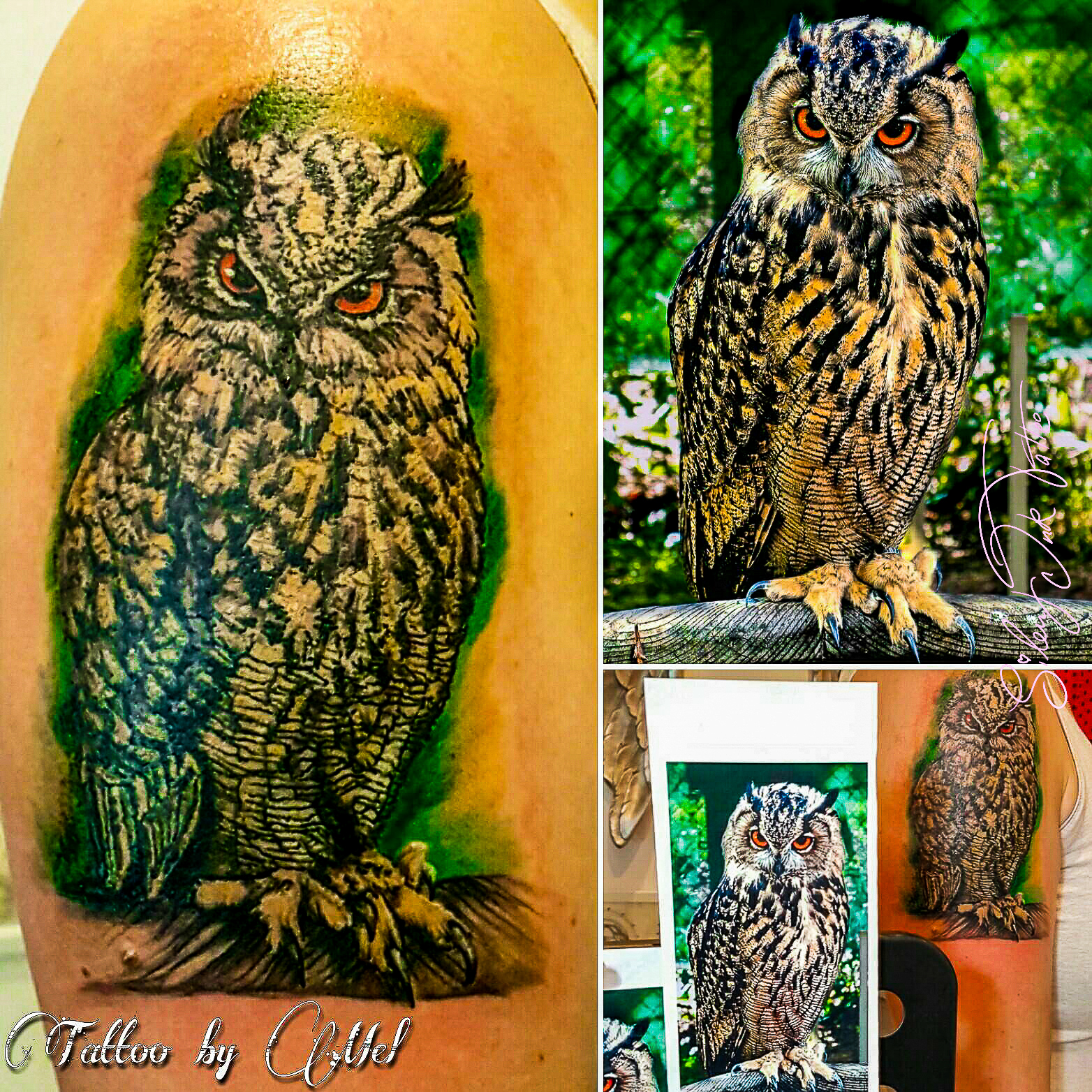 Silent Ink Tattoo - Animals