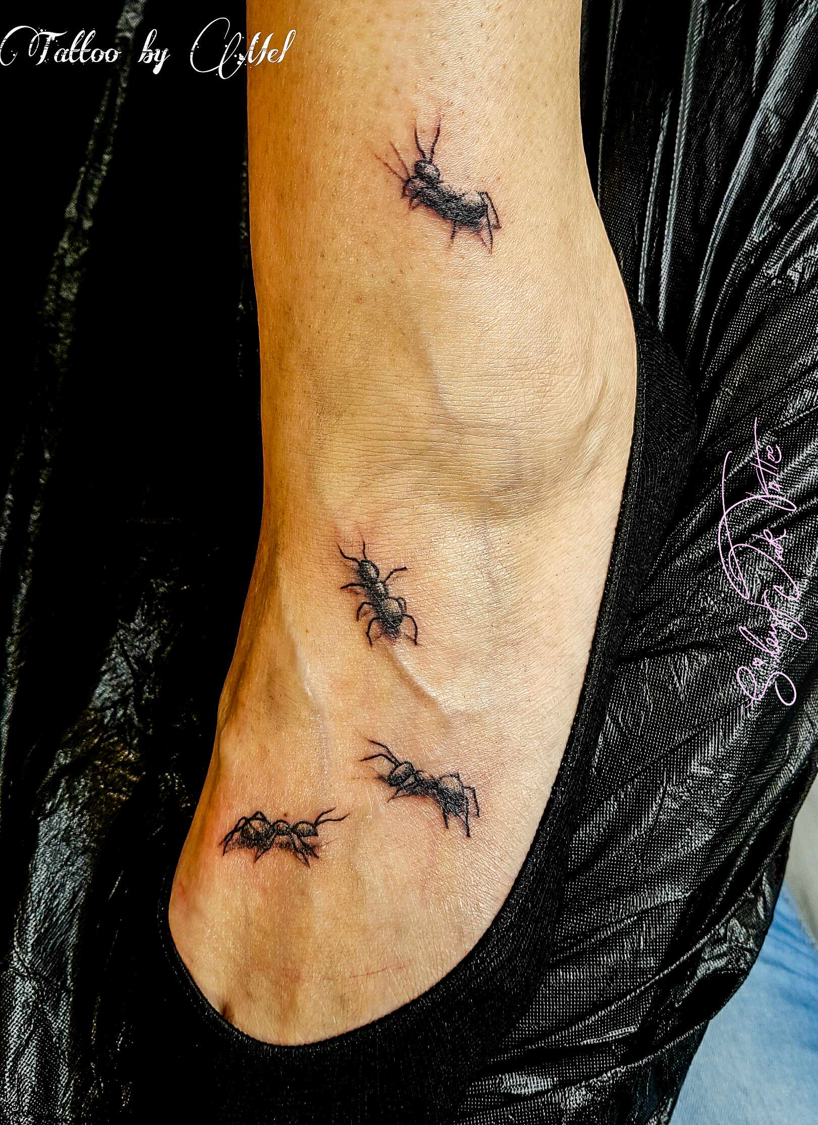 Silent Ink Tattoo - Animals