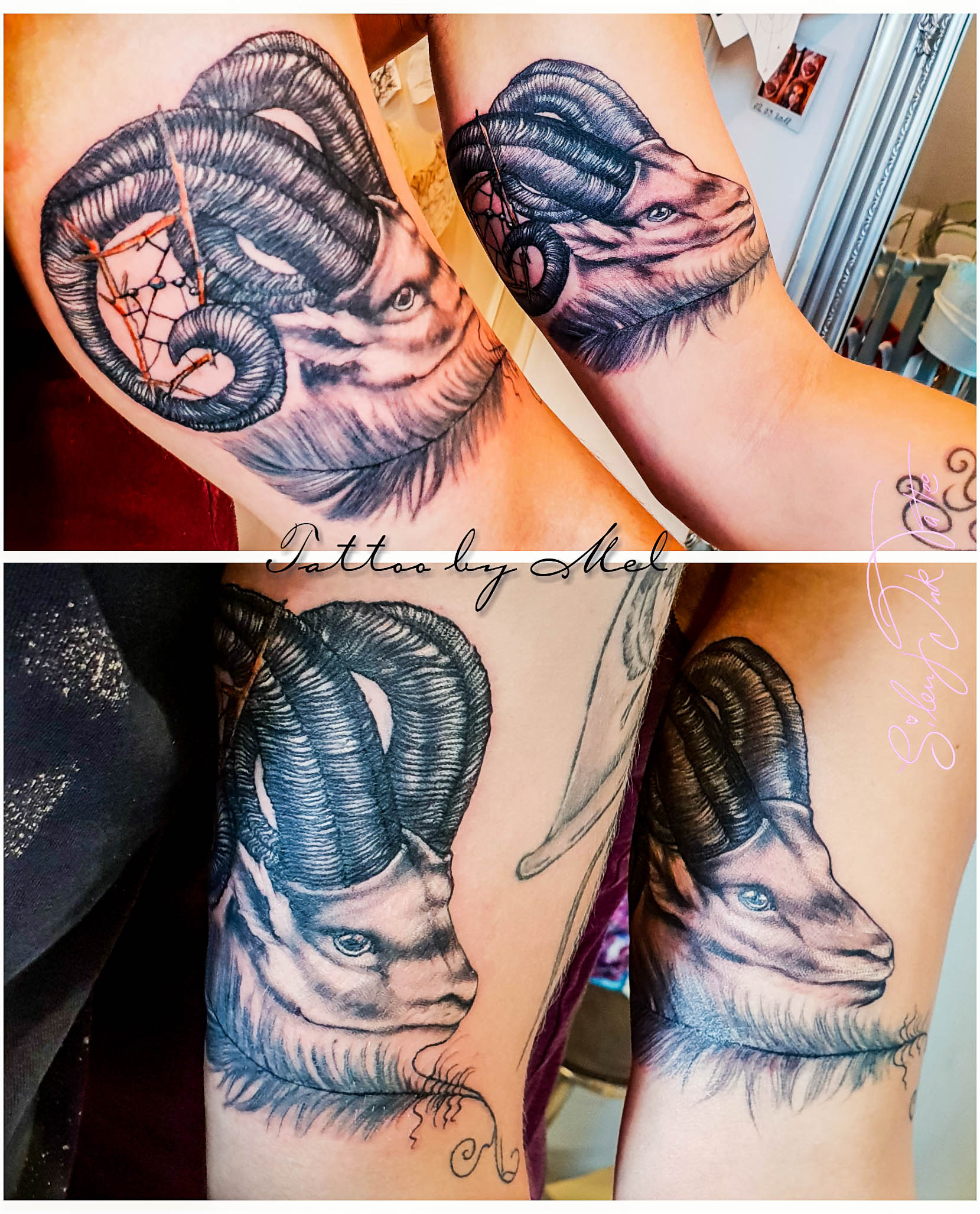Silent Ink Tattoo - Animal, Hannover, Mel