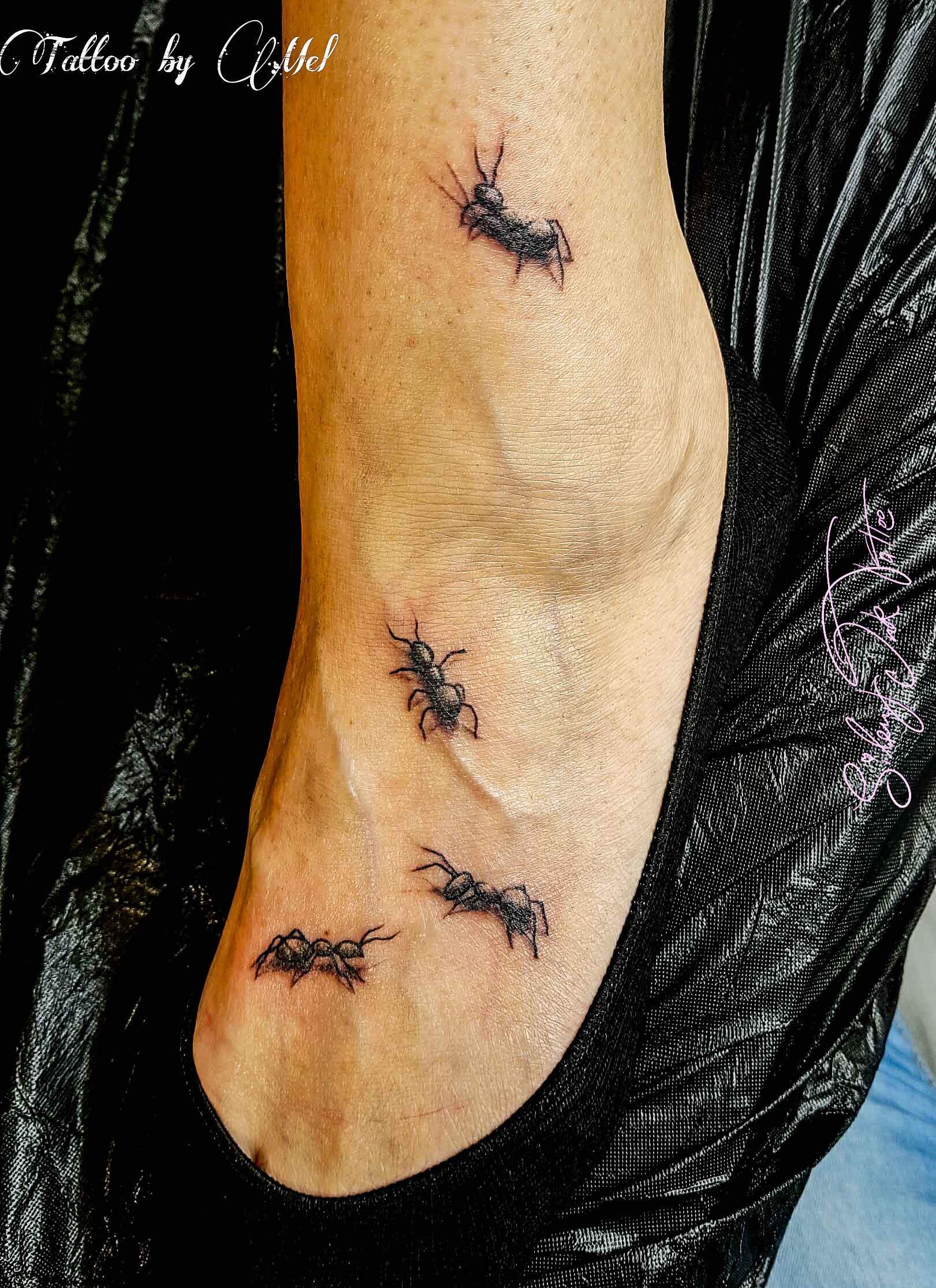 Silent Ink Tattoo - Animal, Hannover, Mel