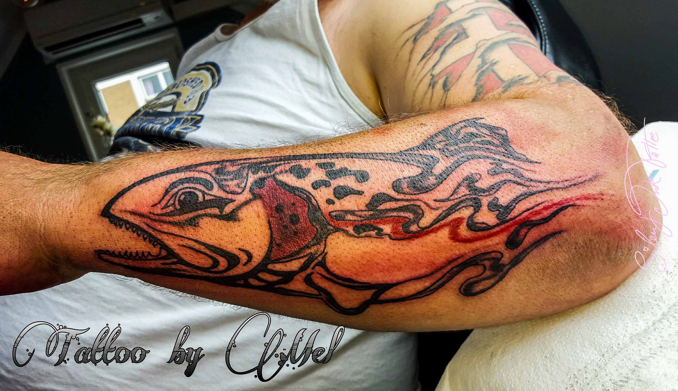Silent Ink Tattoo - Animal, Hannover, Mel