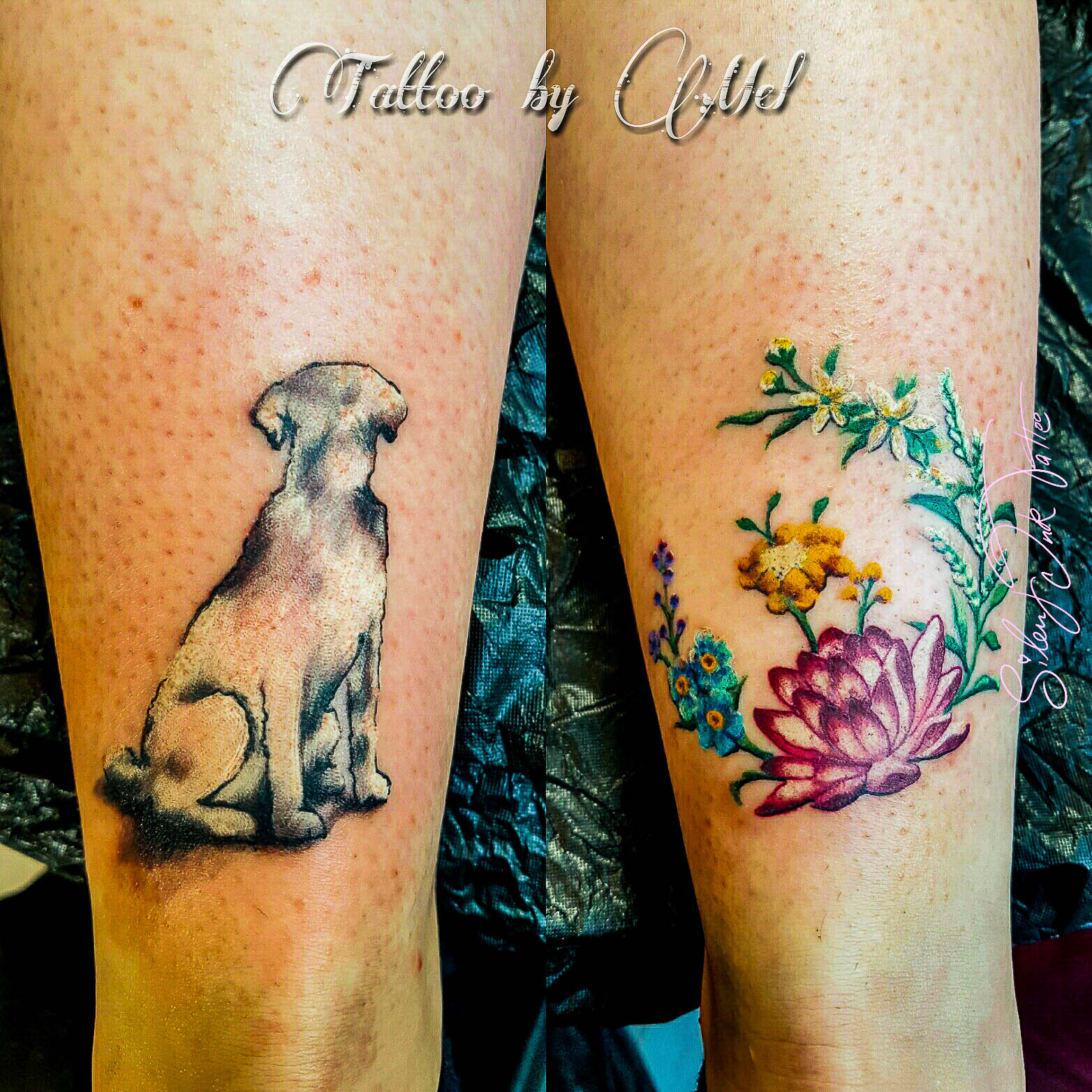 Silent Ink Tattoo - Animal, Hannover, Mel