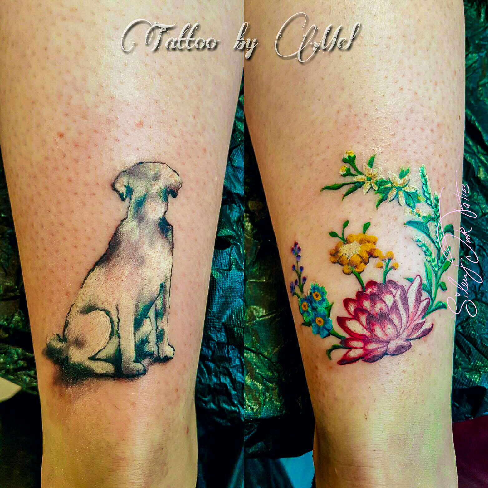 Silent Ink Tattoo - Animal, Hannover, Mel