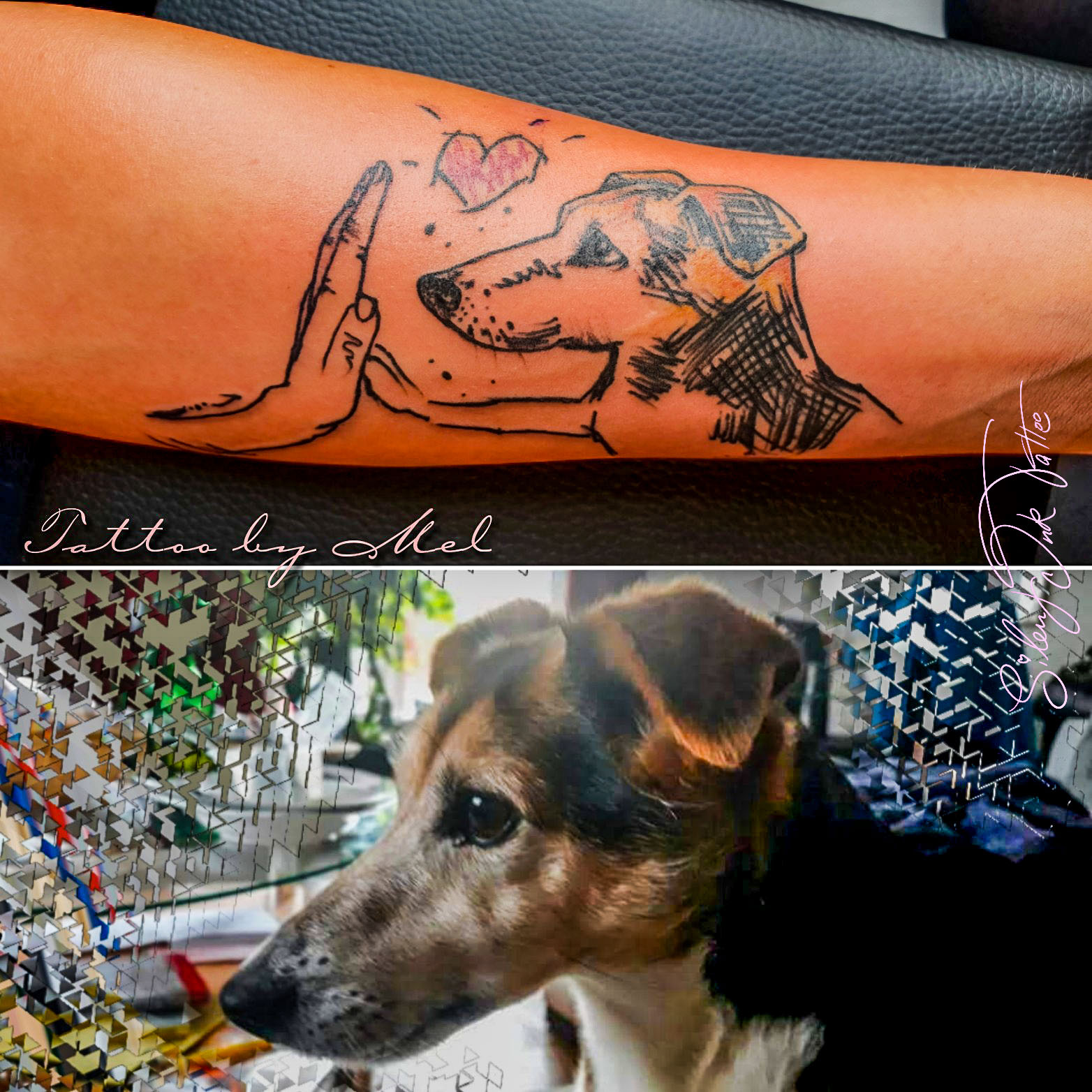 Silent Ink Tattoo - Animal, Hannover, Mel
