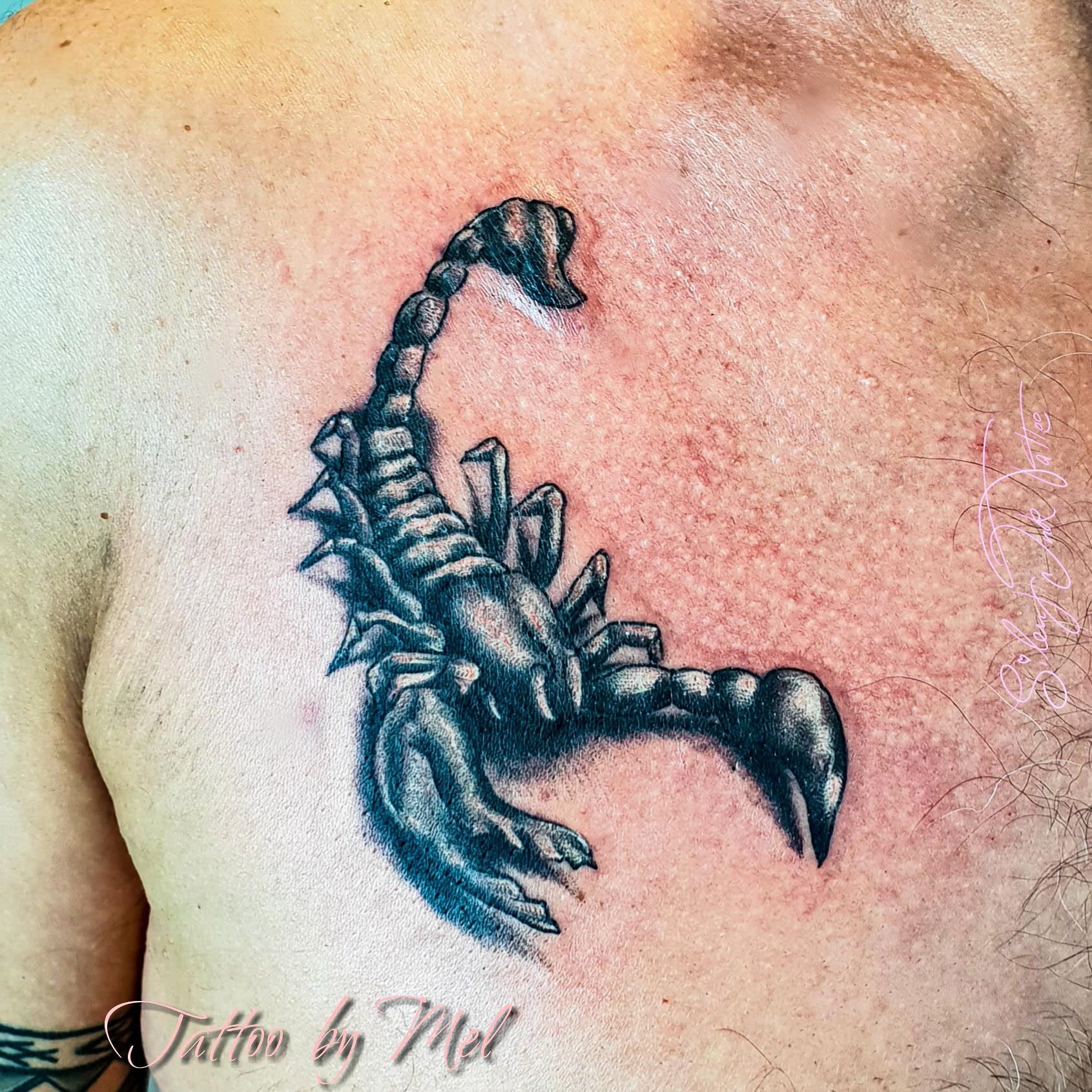 Silent Ink Tattoo - Animal, Hannover, Mel
