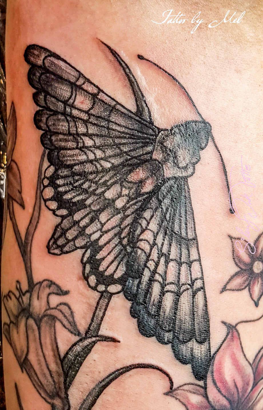 Silent Ink Tattoo - Animal, Hannover, Mel
