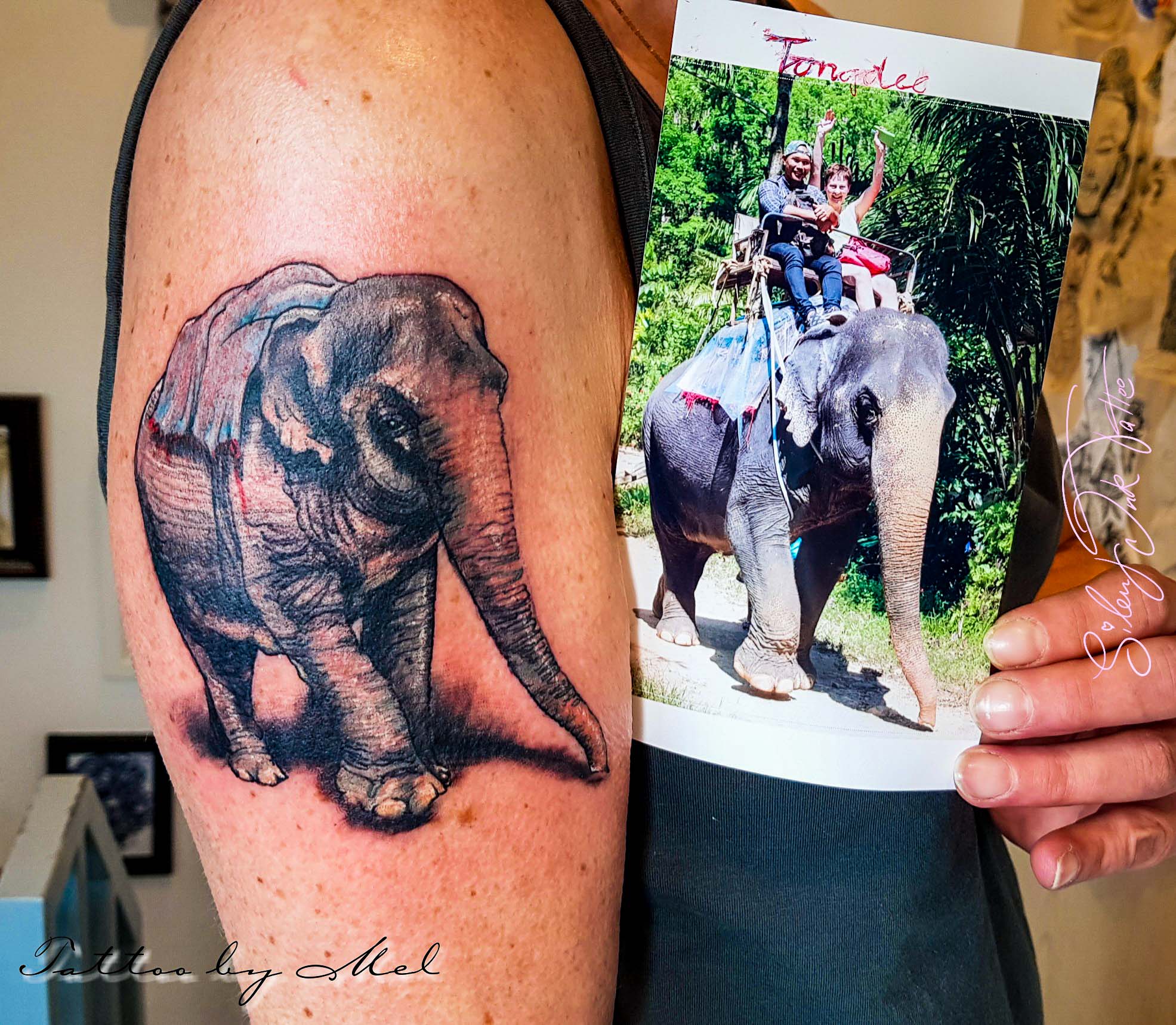 Silent Ink Tattoo - Animal, Hannover, Mel
