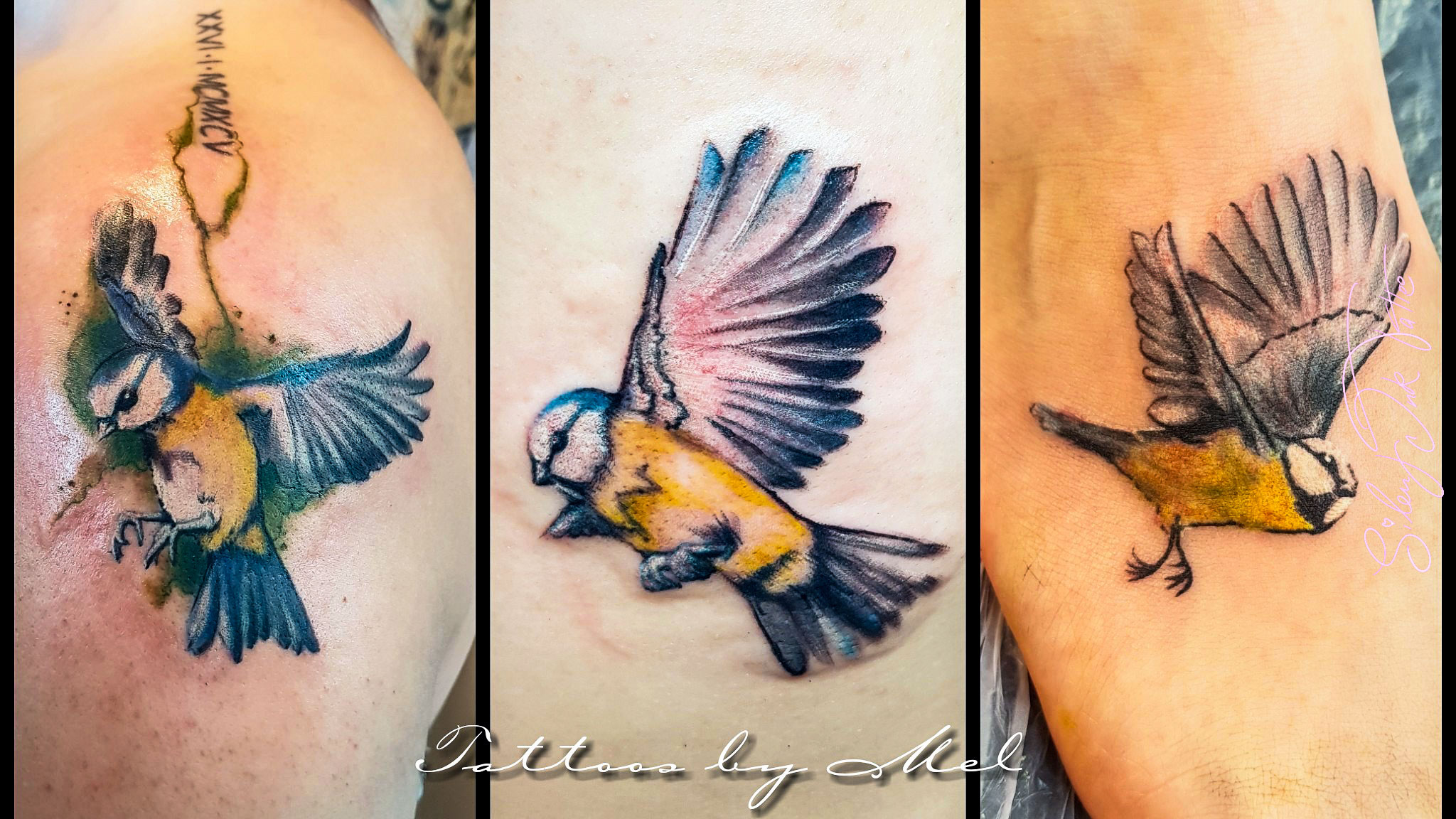 Silent Ink Tattoo - Animal, Hannover, Mel