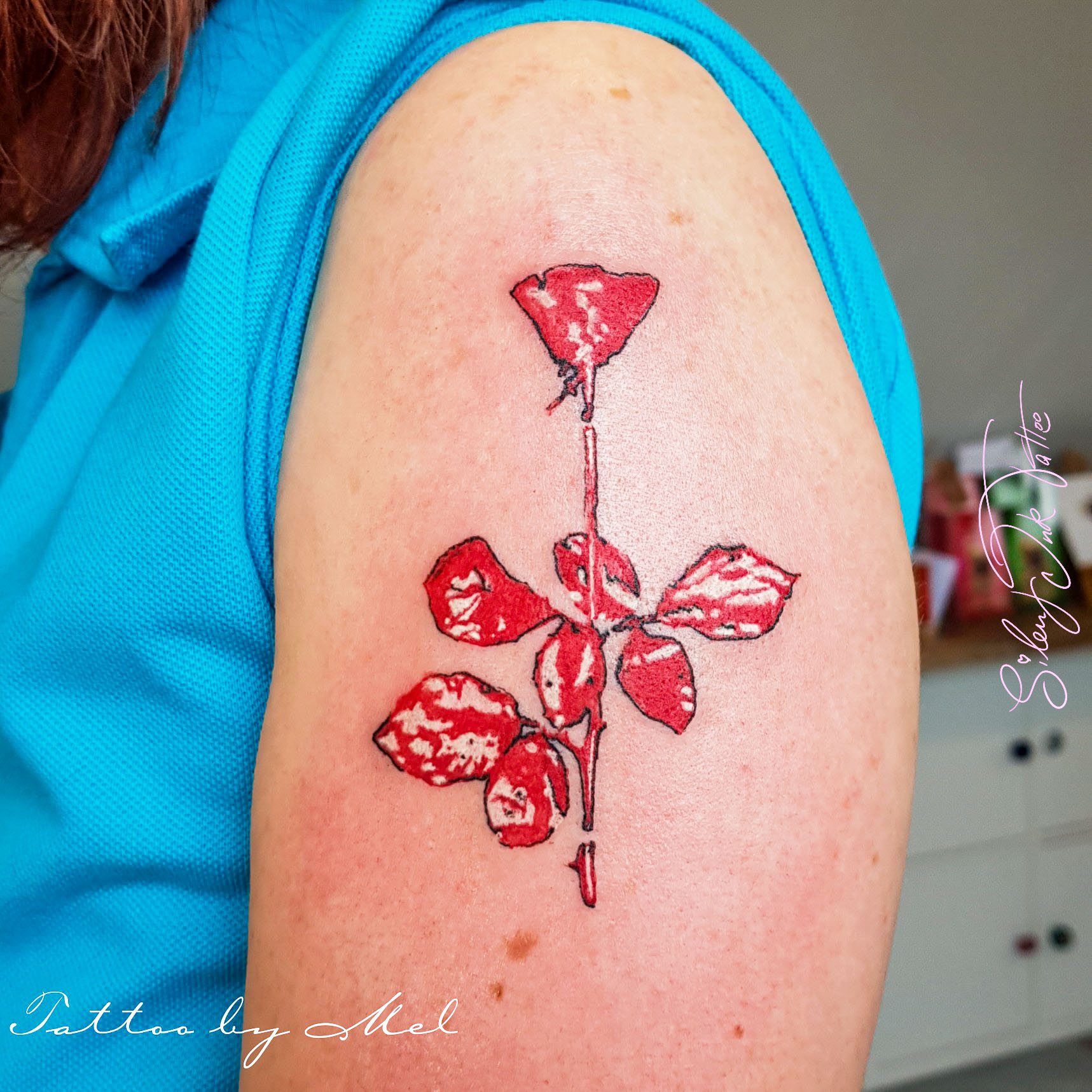 Silent Ink Tattoo - Little Tattoo, Hannover, Mel, Kleinigkeit