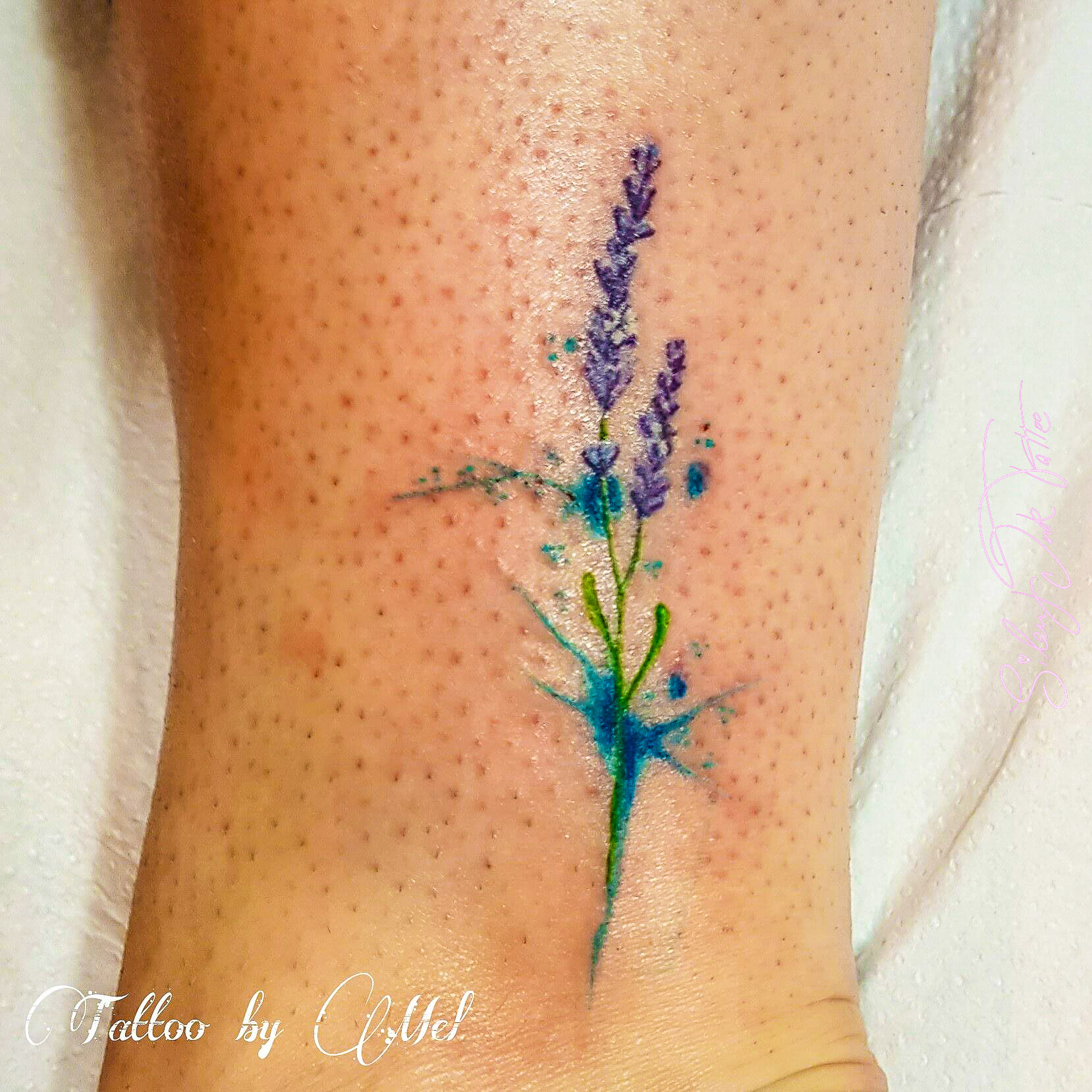 Silent Ink Tattoo - Watercolour, Hannover, Mel, bunt, farbe